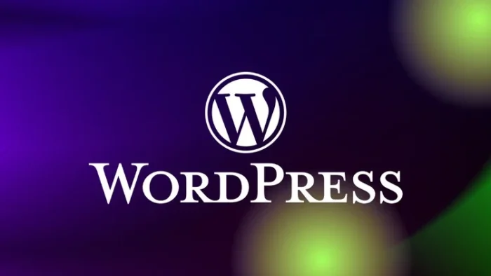 WordPress website course (14 lessons) Demo Video